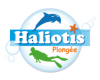 Haliotis Plongée