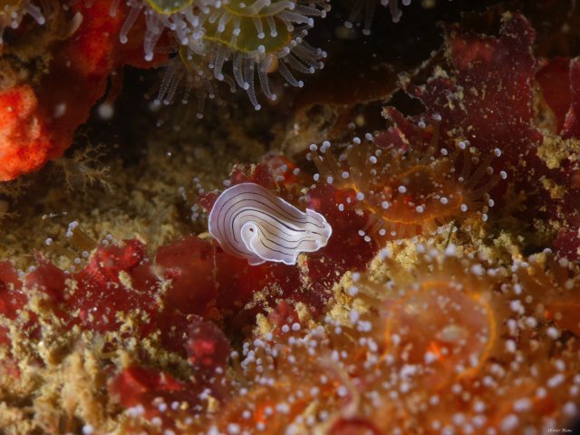 p1060098